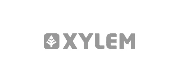 Xylem